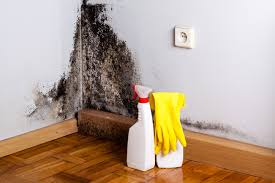 Best Attic Mold Removal  in Portola Valley, CA